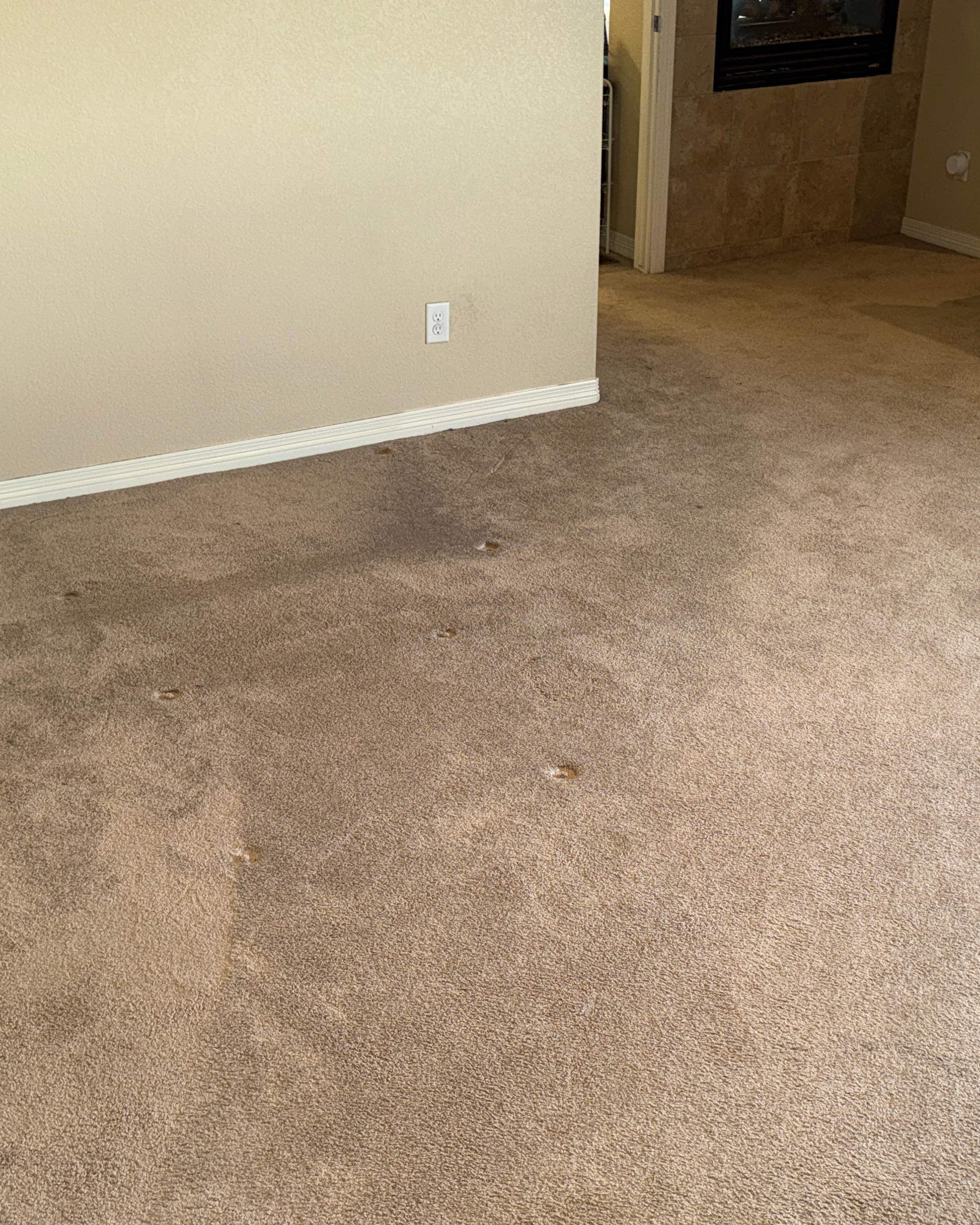 Carpet Cleaning Before